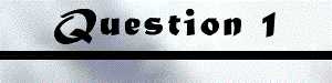 Question 1